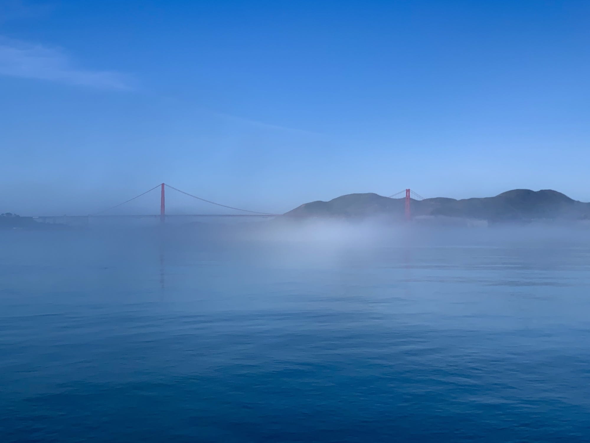 San Francisco is an infinite source of inspiration